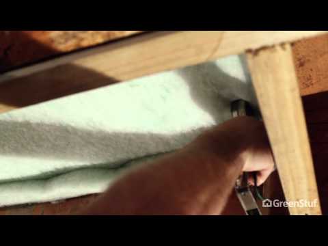 youtube - [Video]