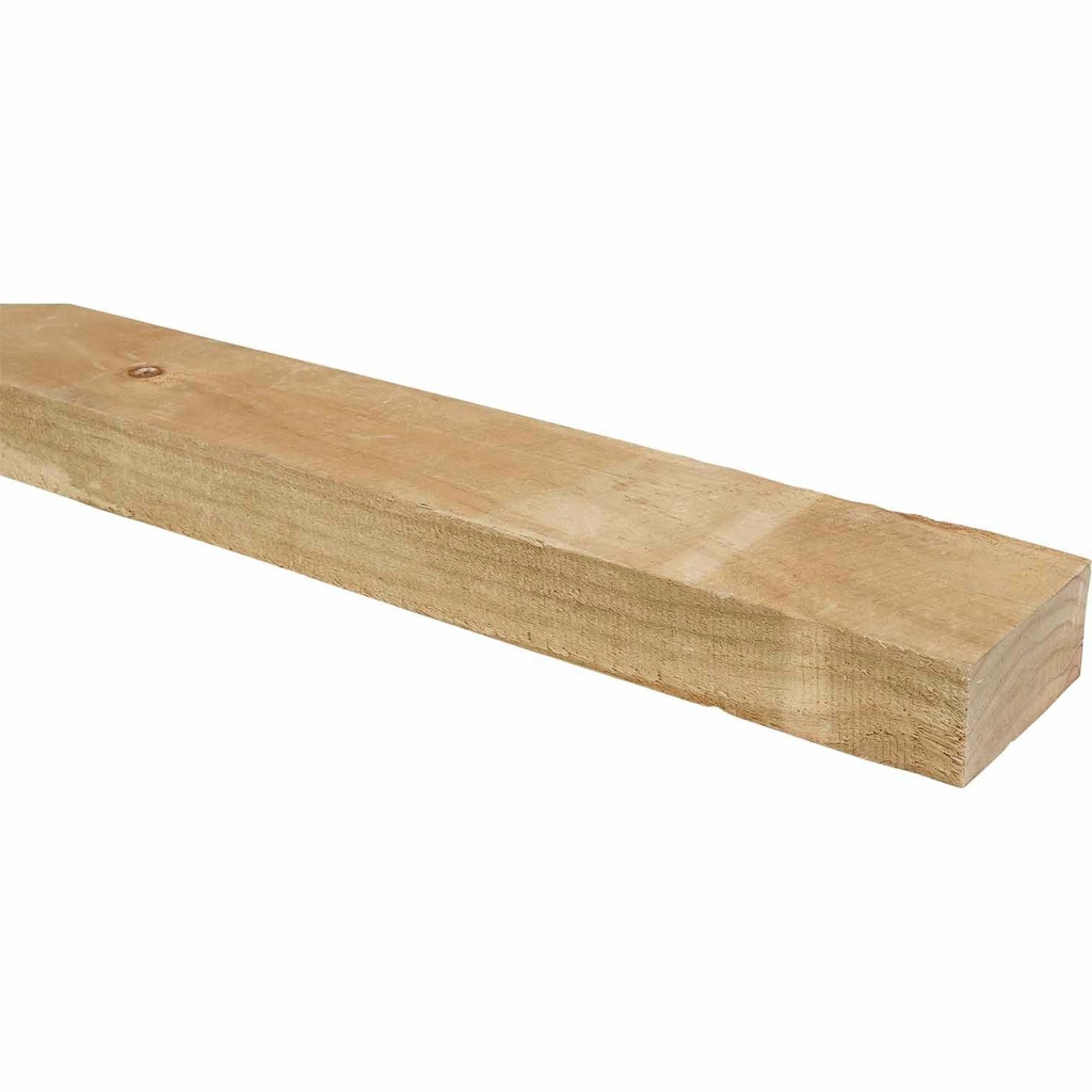 RAIL H3.2 RS 100x50x6.0MTRS